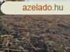 Dlegyhzi sznt elad! - Dlegyhza