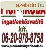 Elad ingatlan - Szkesfehrvr