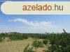 Elad telek Pkozd, 	Pkozdon