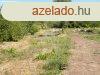 Elad telek Pty, 	Mzeshegy utca