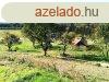 Elad telek Alsjlak, 	ALSJLAKON ELAD  3ha TERLET!!!