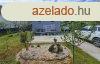 Elad nyaral Rckeve, 	Akcos