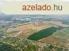 Elad trsashz Szkesfehrvr, 	Balatoni t