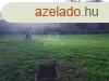 Elad telek Szigetbecse, 	Makdi t kzelben