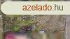 Elad telek Farmos, 	Csendes rszen