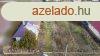 Elad telek Farmos, 	Csendes rszen