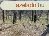 Elad telek Kismaros, 	Brzsnyliget