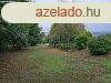 Elad telek Pcel, 	Apcadomb- Panorms telek
