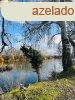 Elad telek Szigetcsp, 	Dunasor t