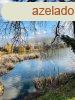 Elad telek Szigetcsp, 	Dunasor t