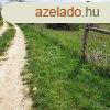 Elad telek Balatonkenese, 	Berek utca