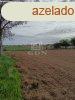 Elad fldterlet Balatonendrd, 	reghegy dl