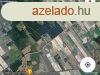 Ruzsn sznt elad | karbontos humuszos himok - Ruzsa