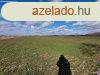 Mezgazdasgi birtok | Zknyszk  -i rszn 12,5 ha fld 