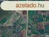 szntfld | gyep, fs terlet - Szeged