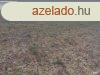 Szntfld belterlethez kzel | Tanya s lakhz udvar ltes
