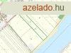 lom a Holt-Tisza partjn | Vzparti ptsi telek Szeged-Sz
