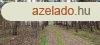 Telephelynek, iparterletnek alkalmas erd elad Pakson!