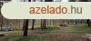 Telephelynek, iparterletnek alkalmas erd elad Pakson!
