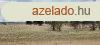 Napelem-park teleptsre alkalmas terlet elad Pakson!