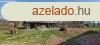 Mezgazdasgi terlet elad Madocsn!