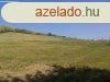 Elad 94 689m2-es Mezgazdasgi terlet, Salgtarjn