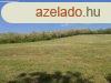 Elad 94 689m2-es Mezgazdasgi terlet, Salgtarjn