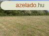 Elad 94 689m2-es Mezgazdasgi terlet, Salgtarjn