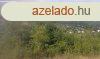 Elad 94 689m2-es Mezgazdasgi terlet, Salgtarjn