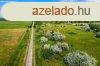 Hossz tv befektetsi lehetsg a Tisza t partjn