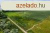 Hossz tv befektetsi lehetsg a Tisza t partjn