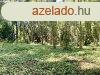 Elad termszetkzeli fejlesztsi lehetsg j llapot vill