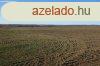 Isaszegen sznt elad