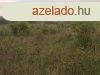 Elad Szntfld, legel Isaszeg