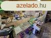 Subasn knnyszerkezetes hz elad! - Szeged
