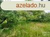 Elad Zrtlert Gylarten - Szeged
