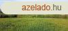 Cserszegtomajon panorms ptsi telek elad