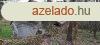 Zalasznt, Zala megye