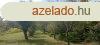 Hvzen gymlcss elad