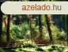 Lido Home Keszthely Klterleti Erd