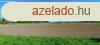Keszthelyen sznt elad