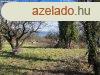 740m2 gymlcss a Bagolyvr kzelben elad