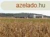 Elad Szntfld, legel Sopron