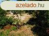 24 mter szles belterleti telek elad! - Kard