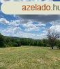 pitsi telek, 4372 m2 Balatontl 20 Km-re elad! - Bbonyme