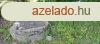ELAD KTHELYI PARKOS PTSI TELEK - Kthely