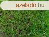 Szp telket ajnlok, lakhz pitshez! - Kard