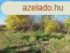 Vc klterletn, szl besorols risi ingatlan irnyron