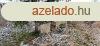 Elad telek Zselickislakon, az reghegyen!