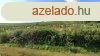 7 hektr term szl Srazsadny mellett Tokaj-hegyaljn